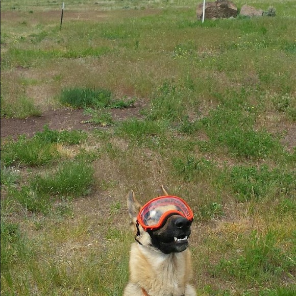 Meet your Posher, KP.  Posh Ambassador - Picture 5 of 9